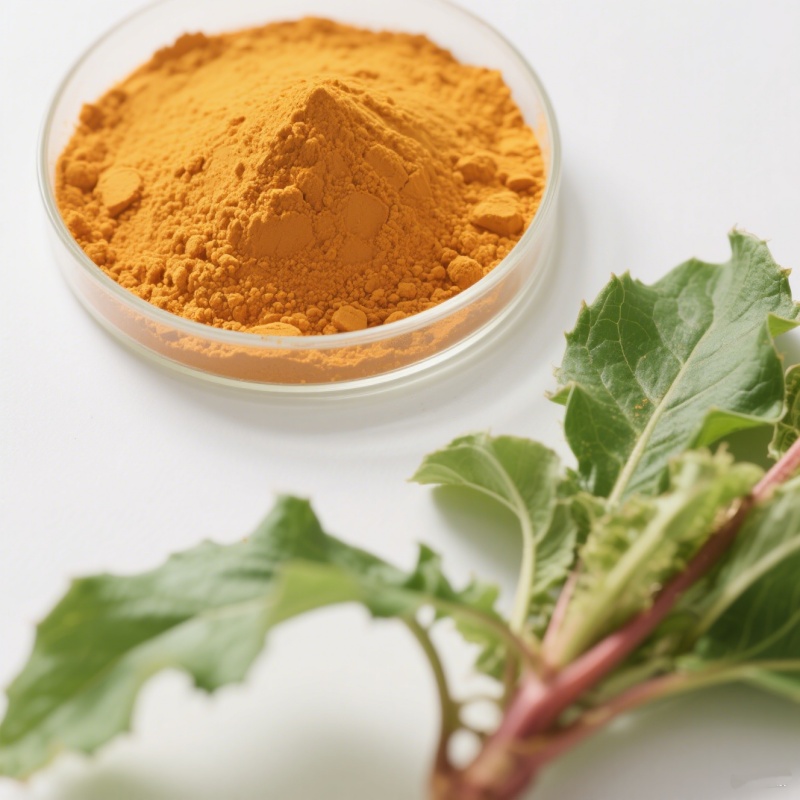 Chrysophanic Acid 3-Oxooleanolic Acid